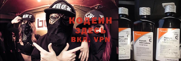 индика Вязьма