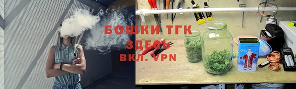 индика Вязьма