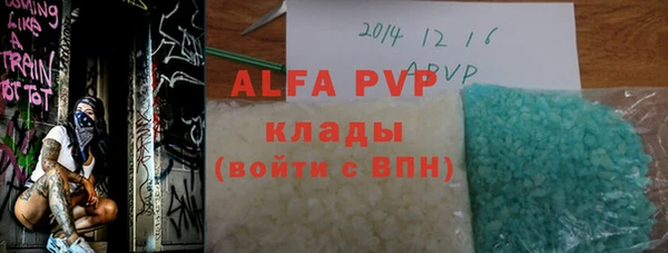 индика Вязьма