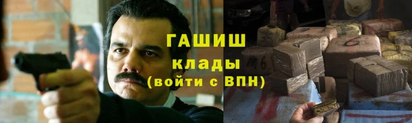 индика Вязьма