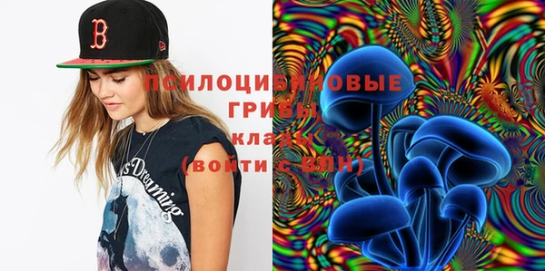 индика Вязьма