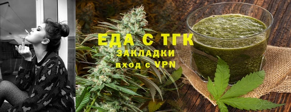 индика Вязьма