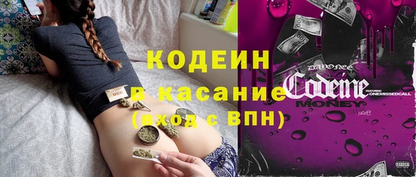 индика Вязьма
