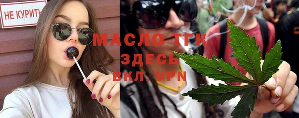 индика Вязьма
