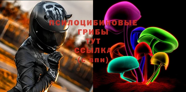 индика Вязьма